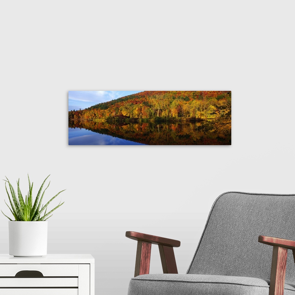 A modern room featuring Panoramic photograph of  river lined with autumn forest under a cloudy sky.  The tree line is ref...