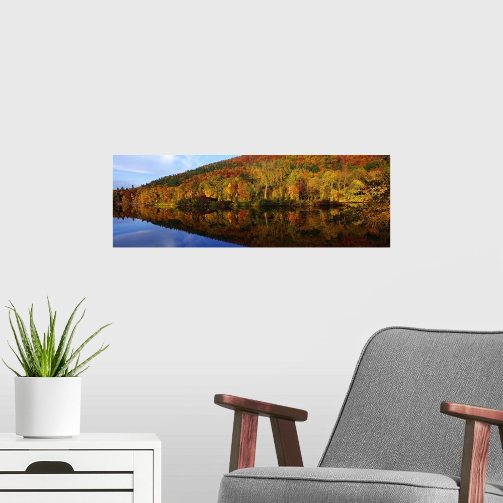 A modern room featuring Panoramic photograph of  river lined with autumn forest under a cloudy sky.  The tree line is ref...