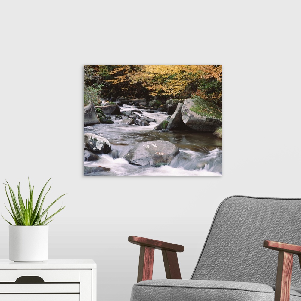 A modern room featuring Vermont, East Barre, Water flowing through rocks