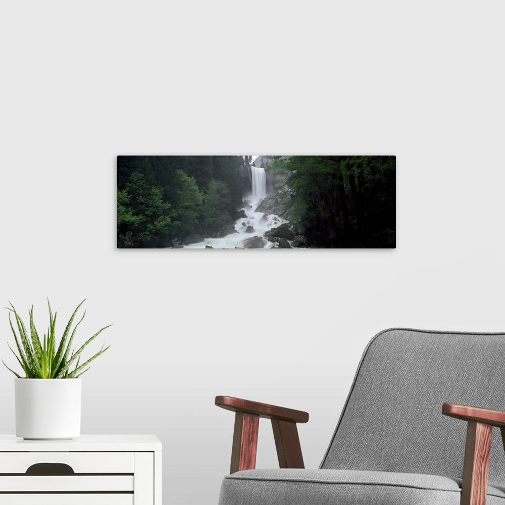 A modern room featuring Panoramic photograph of waterfall flowing into a rocky stream lined with thick dense forest.