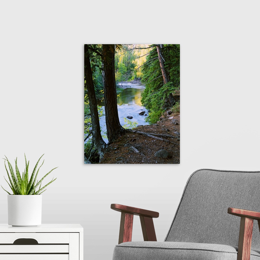 A modern room featuring View of Gooseberry River through forest trees, Gooseberry Falls State Park, Minnesota