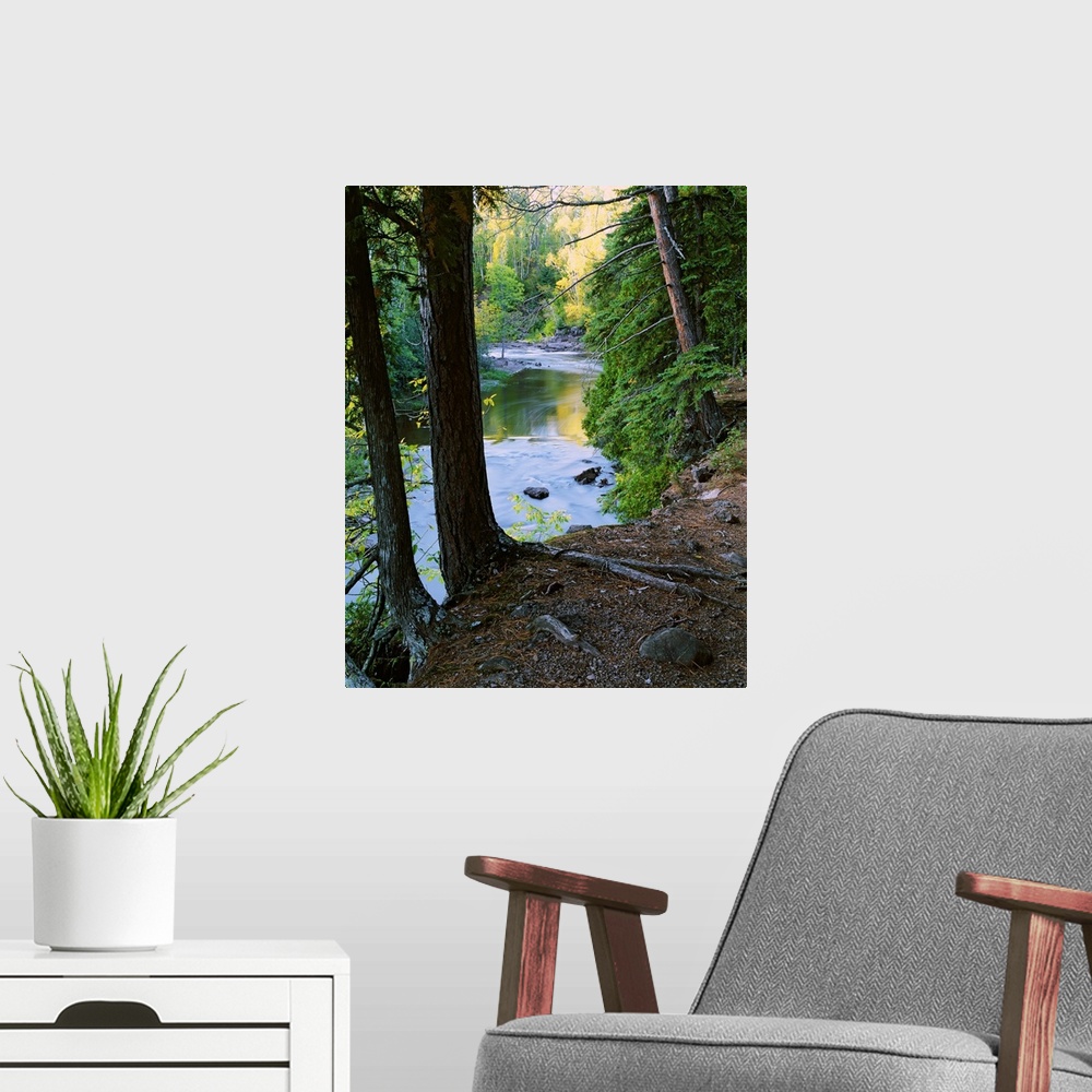 A modern room featuring View of Gooseberry River through forest trees, Gooseberry Falls State Park, Minnesota