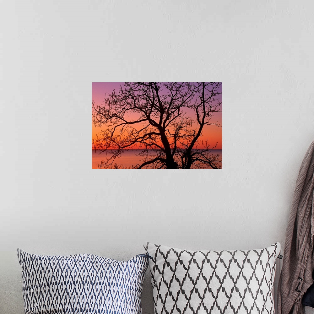 A bohemian room featuring Giant photograph shows a silhouetted bare tree in the foreground against an ocean enjoying the co...