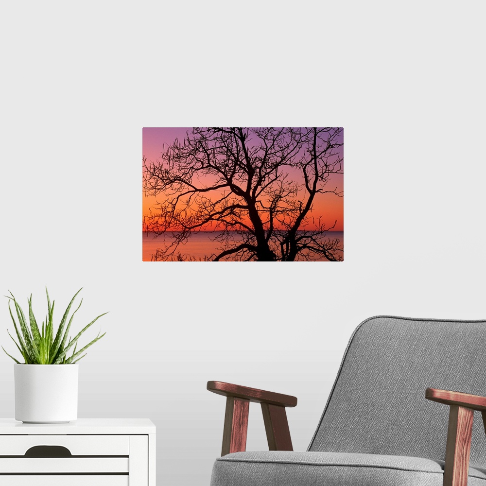 A modern room featuring Giant photograph shows a silhouetted bare tree in the foreground against an ocean enjoying the co...