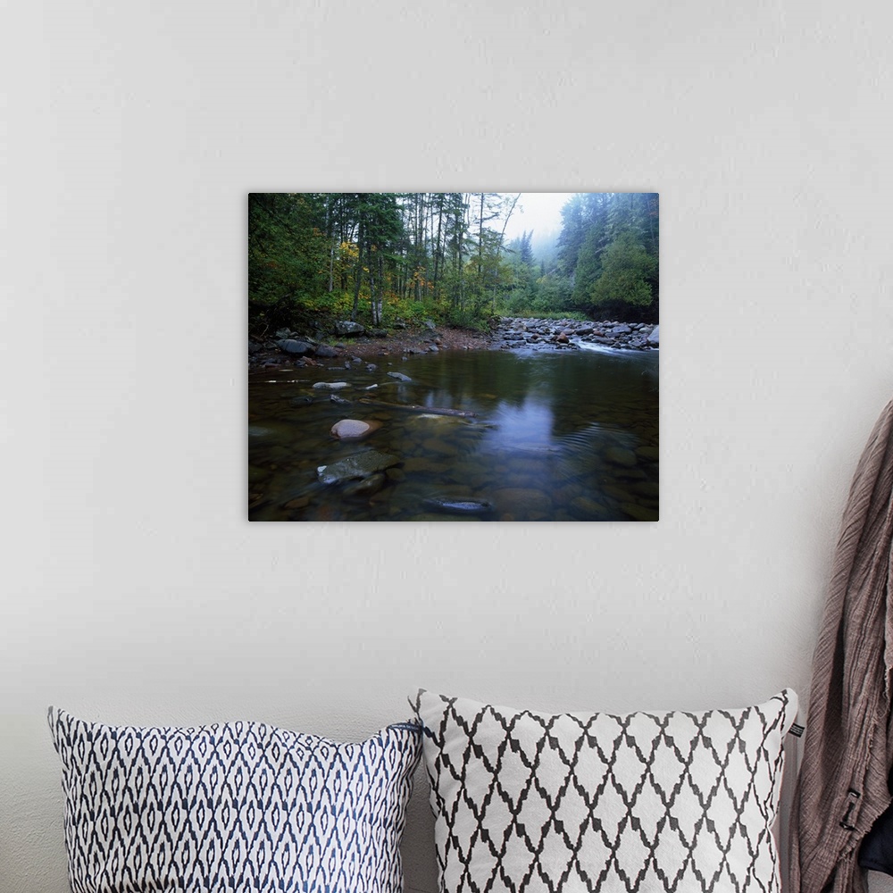 A bohemian room featuring View of rocky Cascade River winding through forest, Cascade River State Park, Minnesota