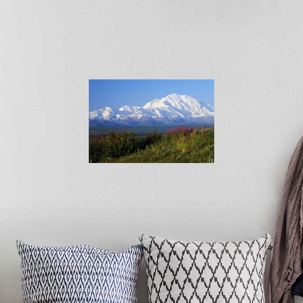 A bohemian room featuring Panoramic photograph of flower meadow with snow covered mountains in the distance under a clear sky.