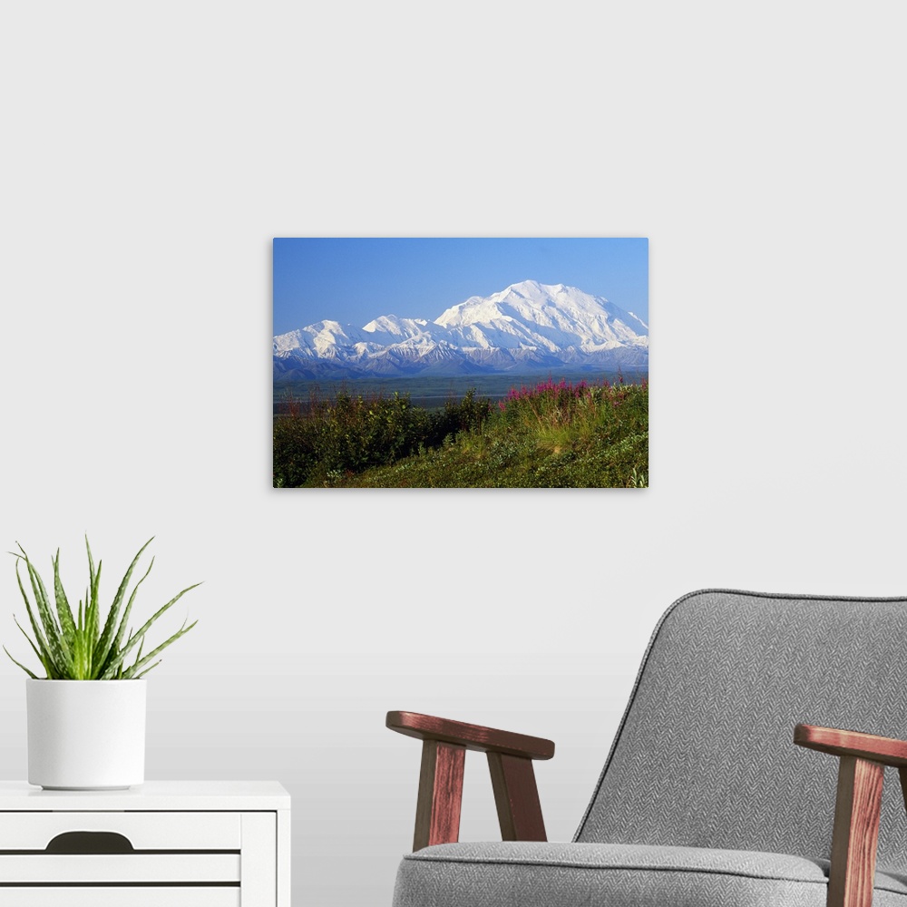 A modern room featuring Panoramic photograph of flower meadow with snow covered mountains in the distance under a clear sky.