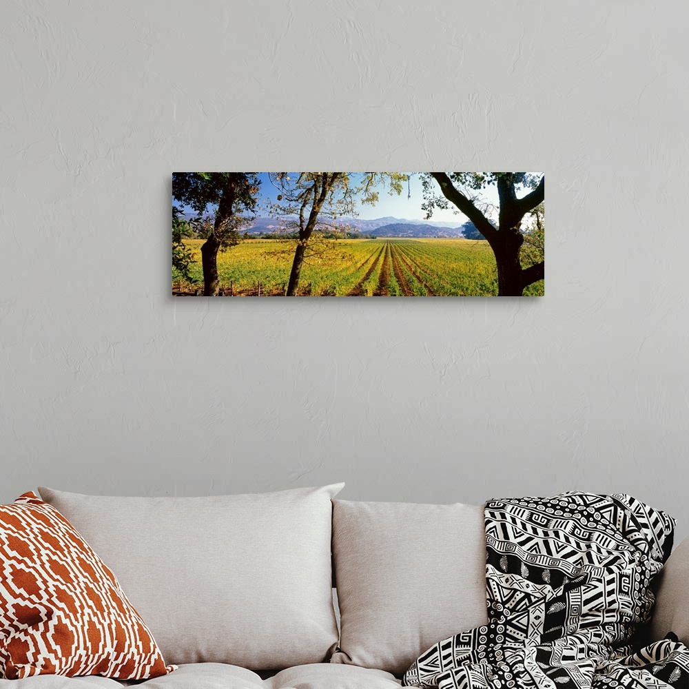 A bohemian room featuring Large panoramic print of a vineyard with rolling mountains in the background.