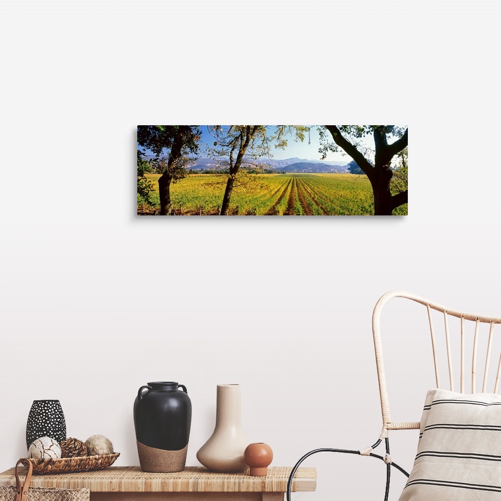 A farmhouse room featuring Large panoramic print of a vineyard with rolling mountains in the background.