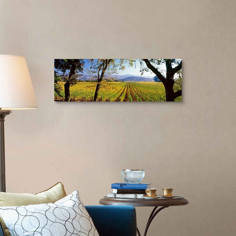 A traditional room featuring Large panoramic print of a vineyard with rolling mountains in the background.
