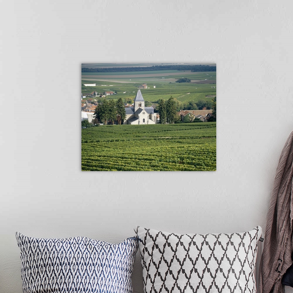 A bohemian room featuring Vineyard near a village, Le Mesnil-Sur-Oger, Cote Des Blancs, Champagne, France