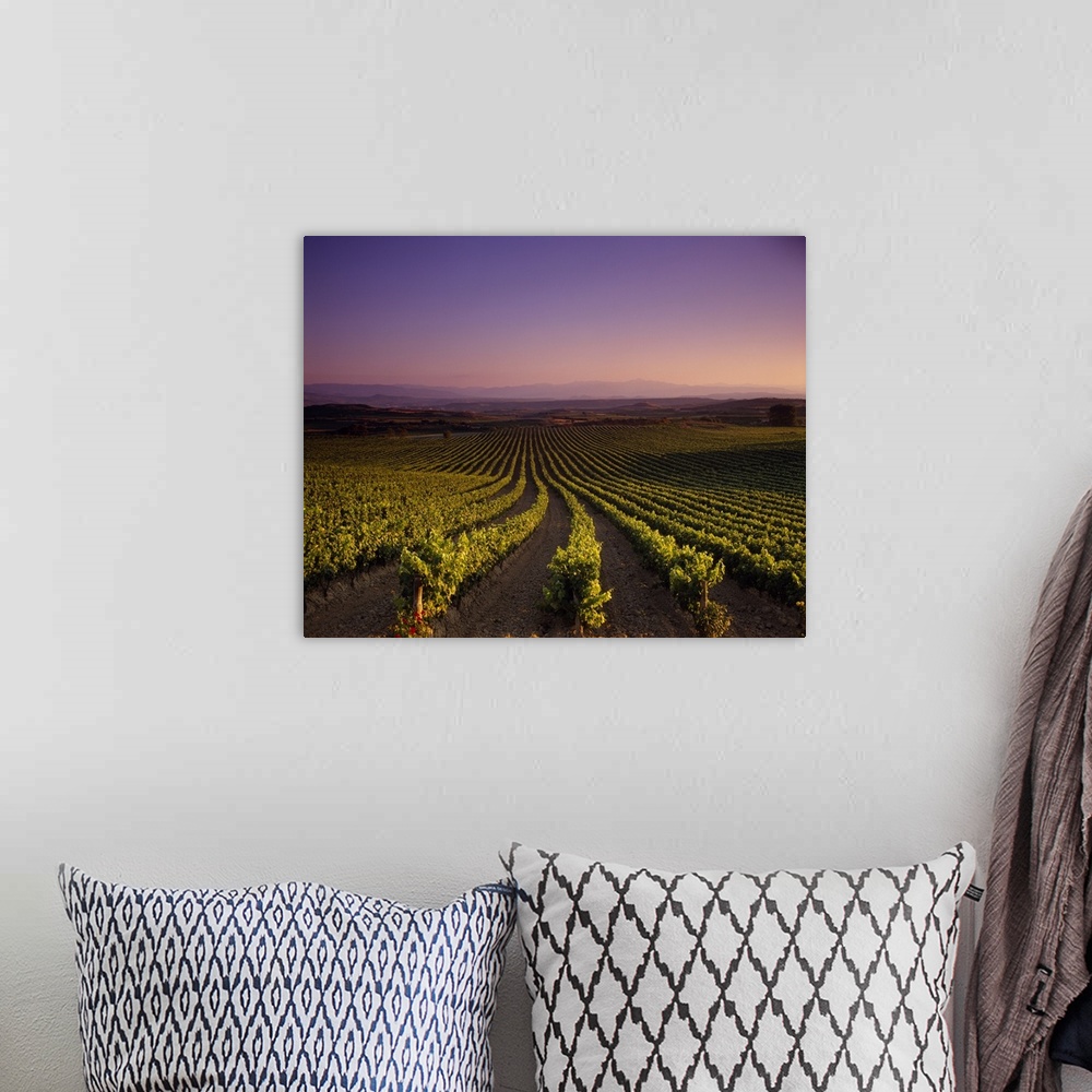 A bohemian room featuring Horizontal photograph on a large canvas looking down the rows of a vast vineyard beneath a pastel...