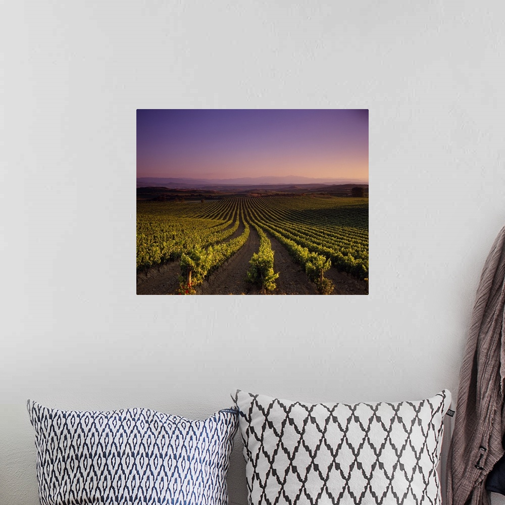 A bohemian room featuring Horizontal photograph on a large canvas looking down the rows of a vast vineyard beneath a pastel...