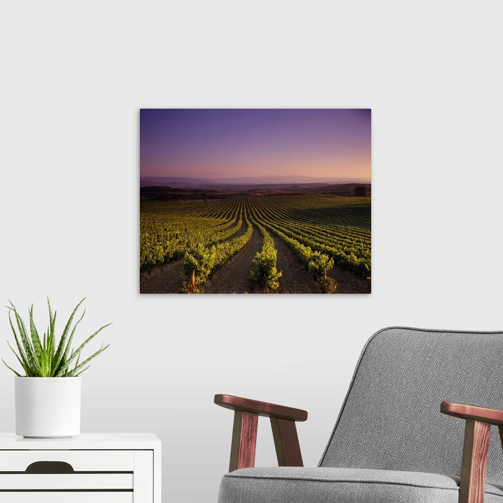 A modern room featuring Horizontal photograph on a large canvas looking down the rows of a vast vineyard beneath a pastel...