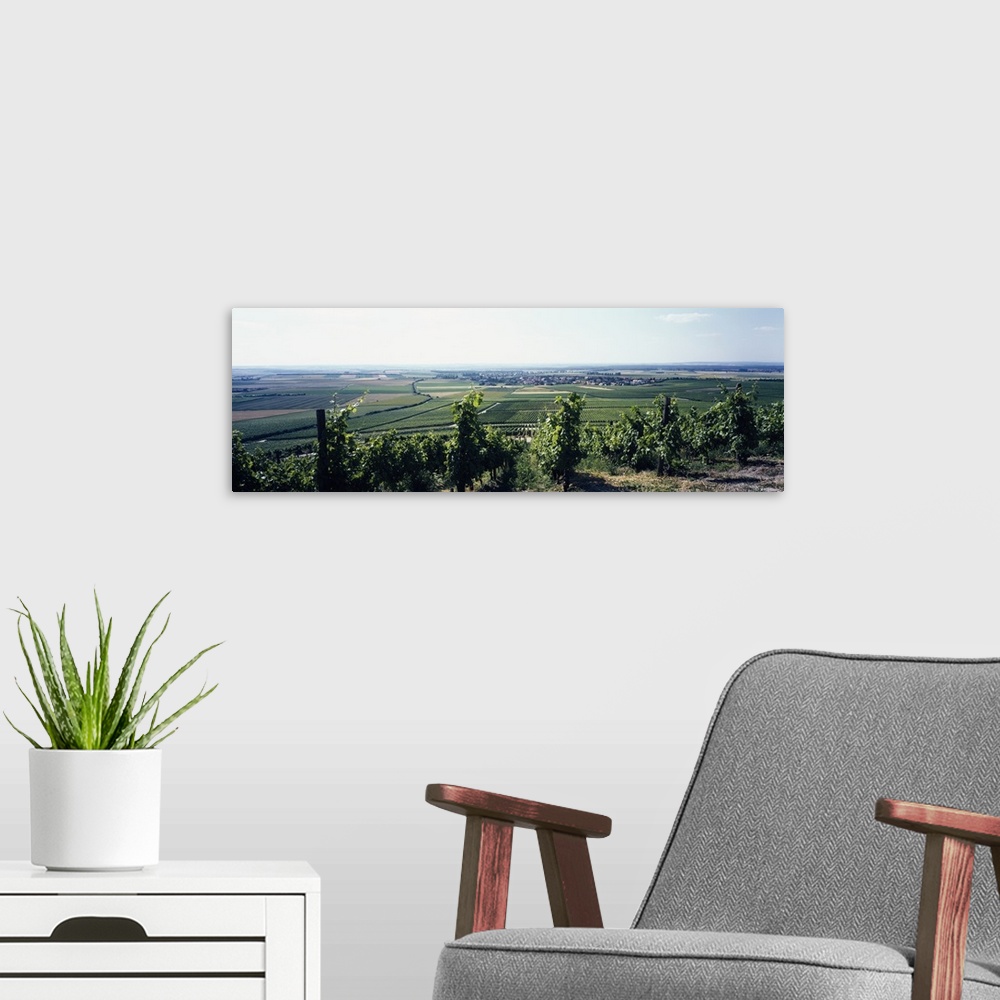 A modern room featuring Vineyard with a village in the background, Bereich Steigerwald, Franconia, Germany