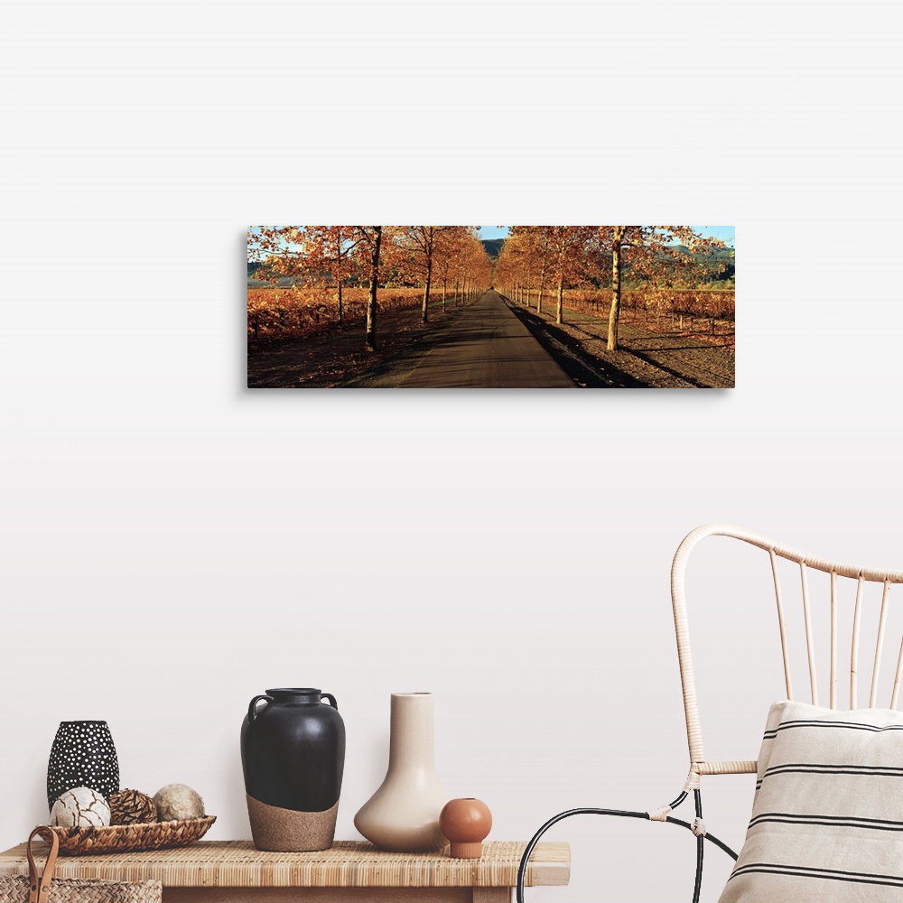 A farmhouse room featuring Panoramic photograph of paved street lined with autumn trees.