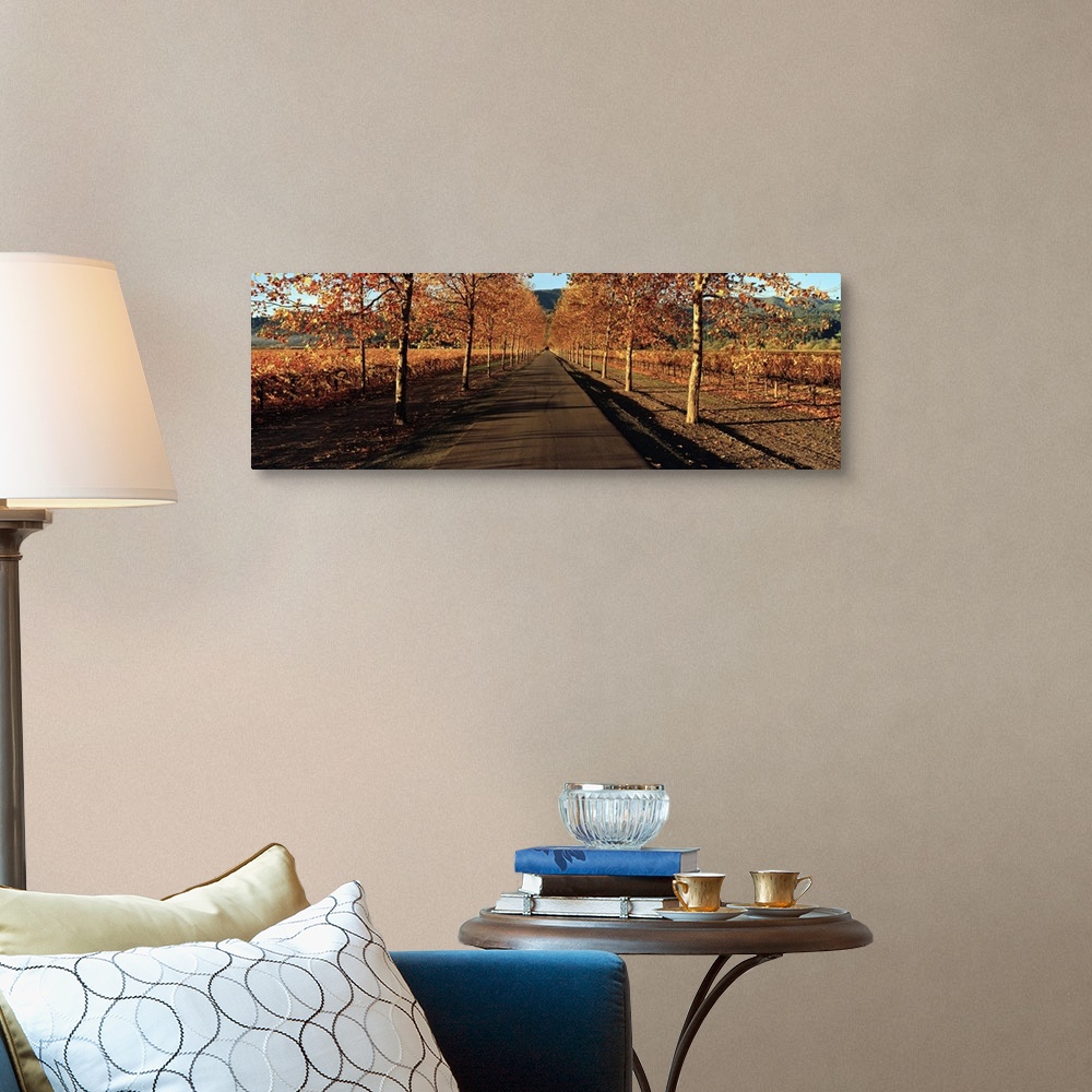 A traditional room featuring Panoramic photograph of paved street lined with autumn trees.