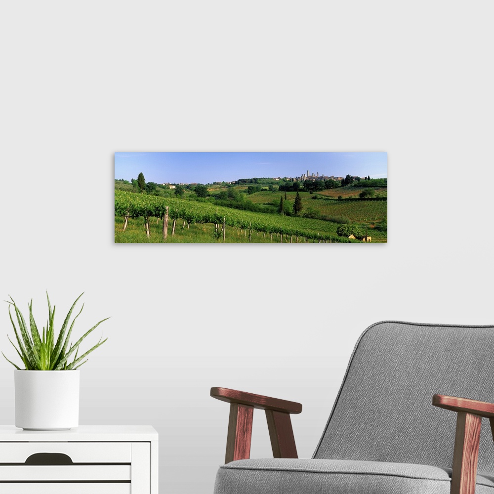 A modern room featuring Vineyards and Medieval Town of San Gimignano Tuscany Italy