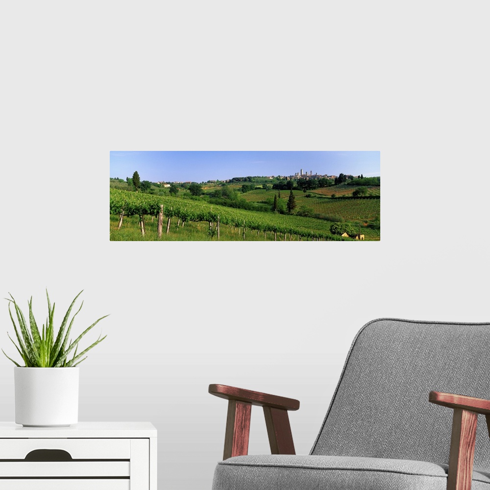 A modern room featuring Vineyards and Medieval Town of San Gimignano Tuscany Italy