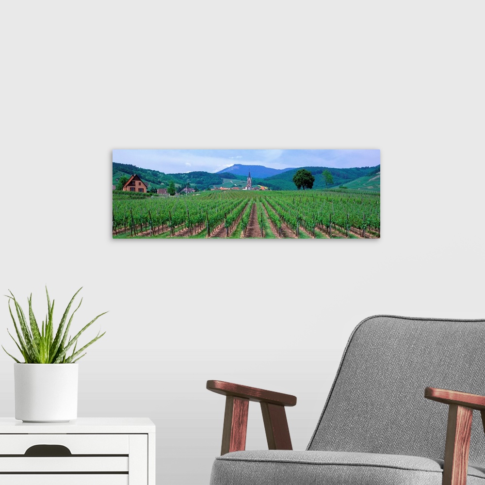 A modern room featuring Vineyards in Alsace St. Hippolyte Alsace France