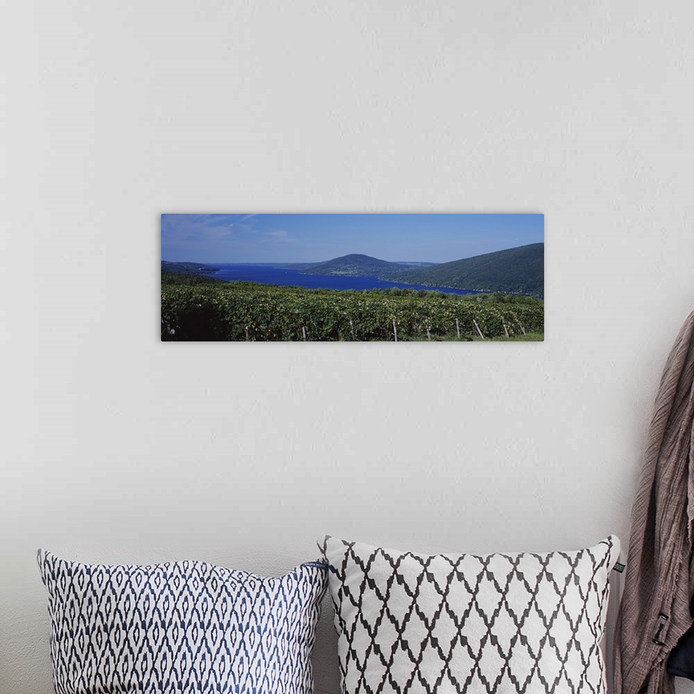A bohemian room featuring Vineyards Near A Lake, Canandaigua Lake, Finger Lakes, New York State