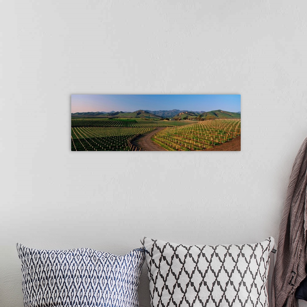 A bohemian room featuring Vineyards Santa Ynez Valley CA