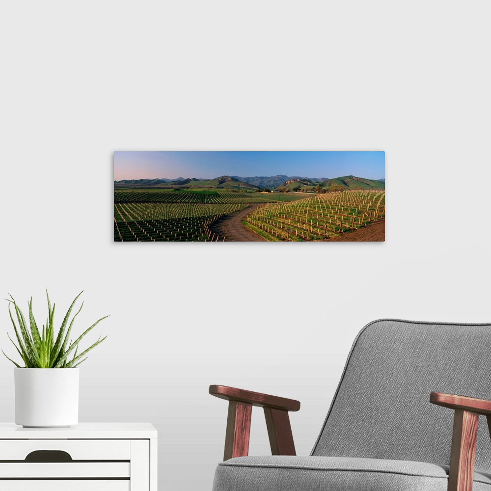 A modern room featuring Vineyards Santa Ynez Valley CA