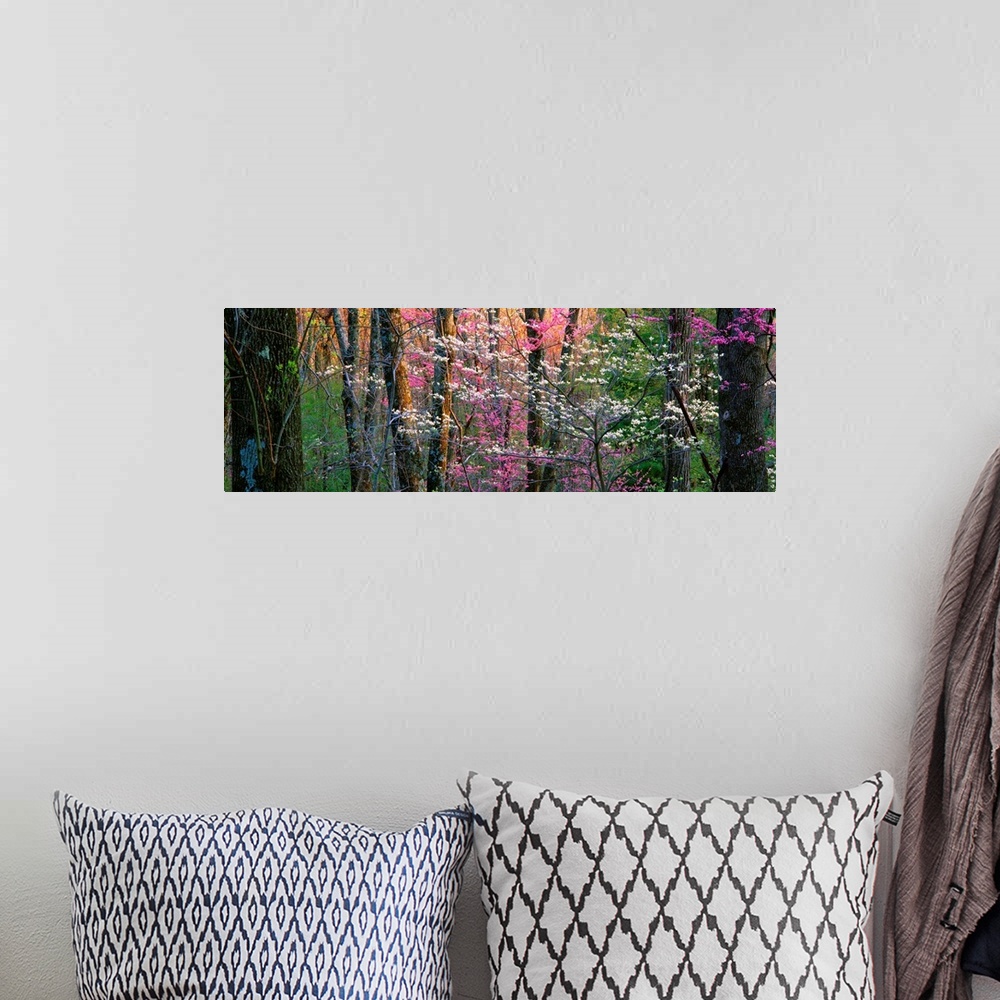 A bohemian room featuring Panoramic photograph focuses on a close-up of vibrantly colored trees and flowers in a dense forest.