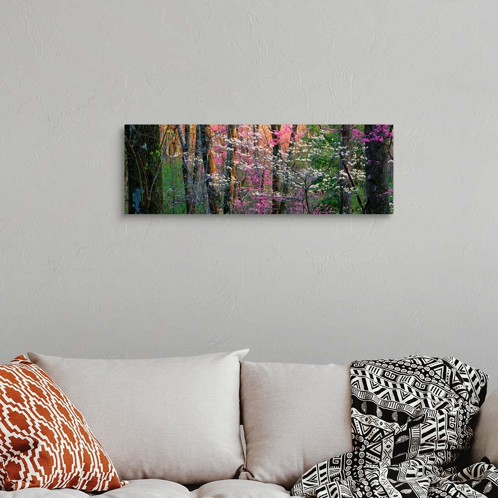 A bohemian room featuring Panoramic photograph focuses on a close-up of vibrantly colored trees and flowers in a dense forest.