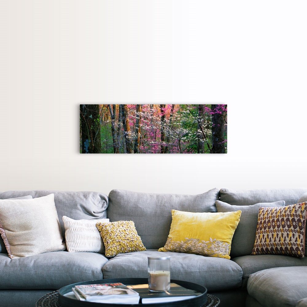 A farmhouse room featuring Panoramic photograph focuses on a close-up of vibrantly colored trees and flowers in a dense forest.