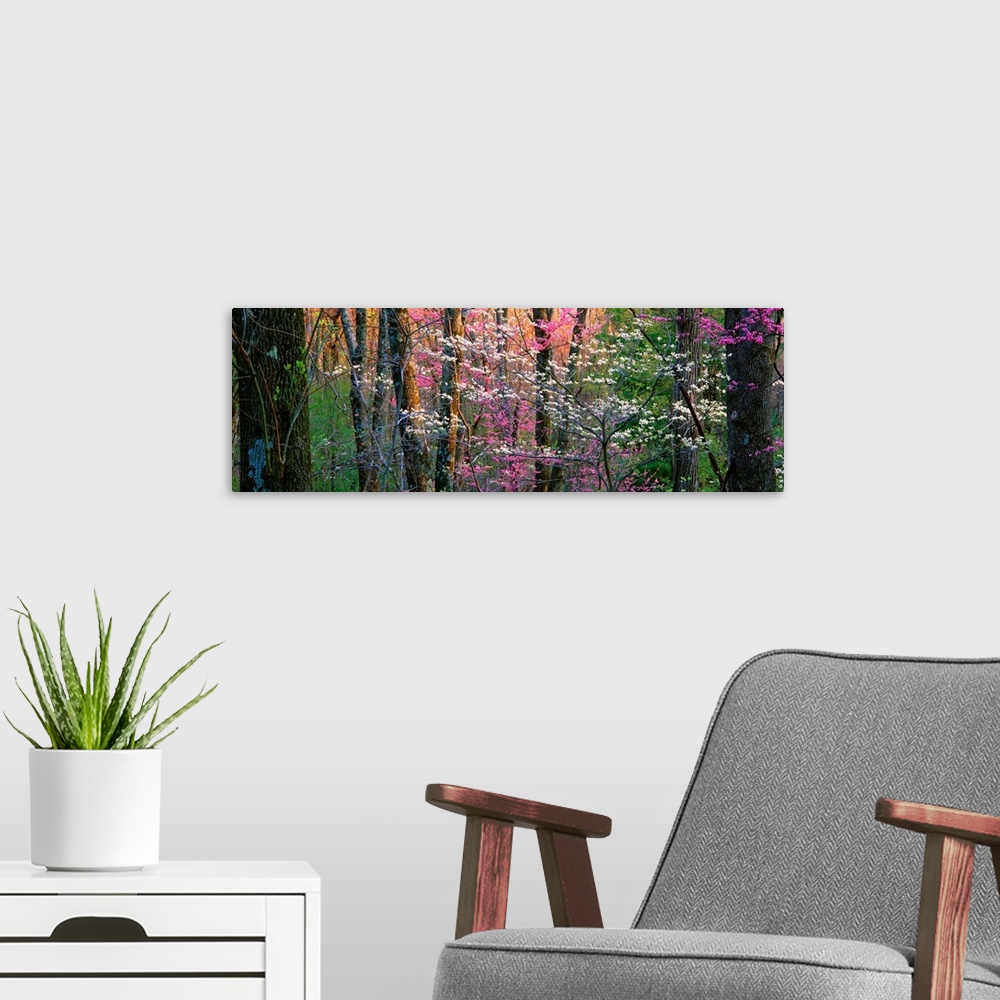 A modern room featuring Panoramic photograph focuses on a close-up of vibrantly colored trees and flowers in a dense forest.