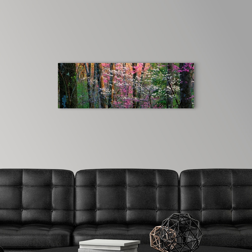 A modern room featuring Panoramic photograph focuses on a close-up of vibrantly colored trees and flowers in a dense forest.