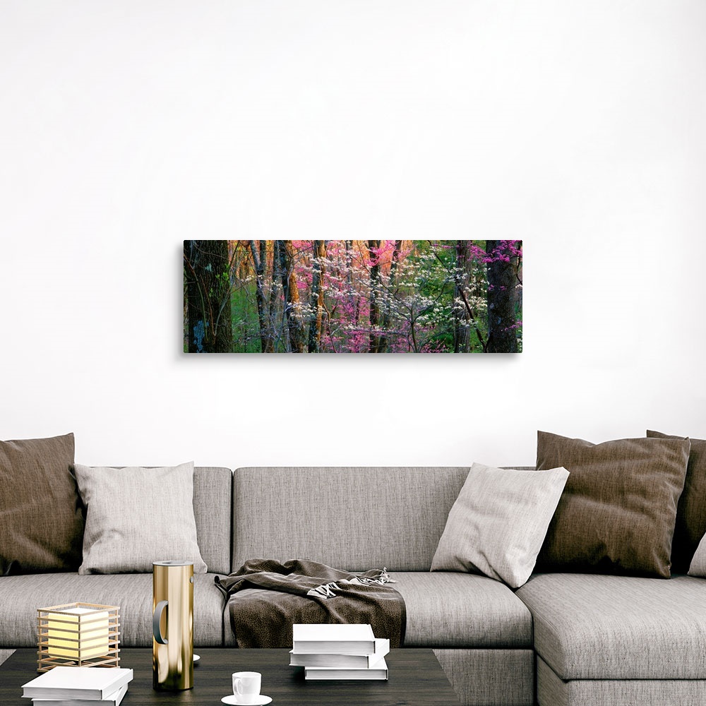 A traditional room featuring Panoramic photograph focuses on a close-up of vibrantly colored trees and flowers in a dense forest.