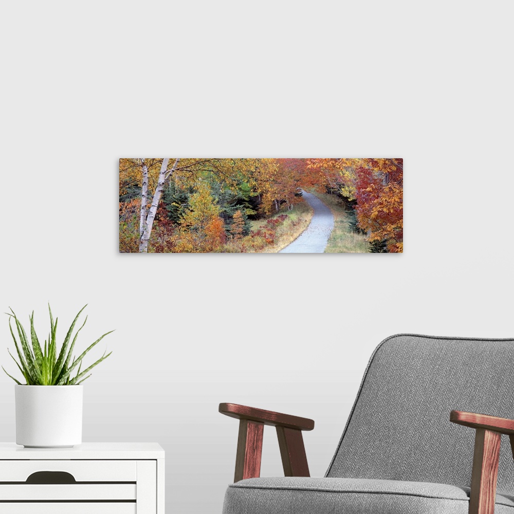 A modern room featuring Walking Path Acadia National Park ME