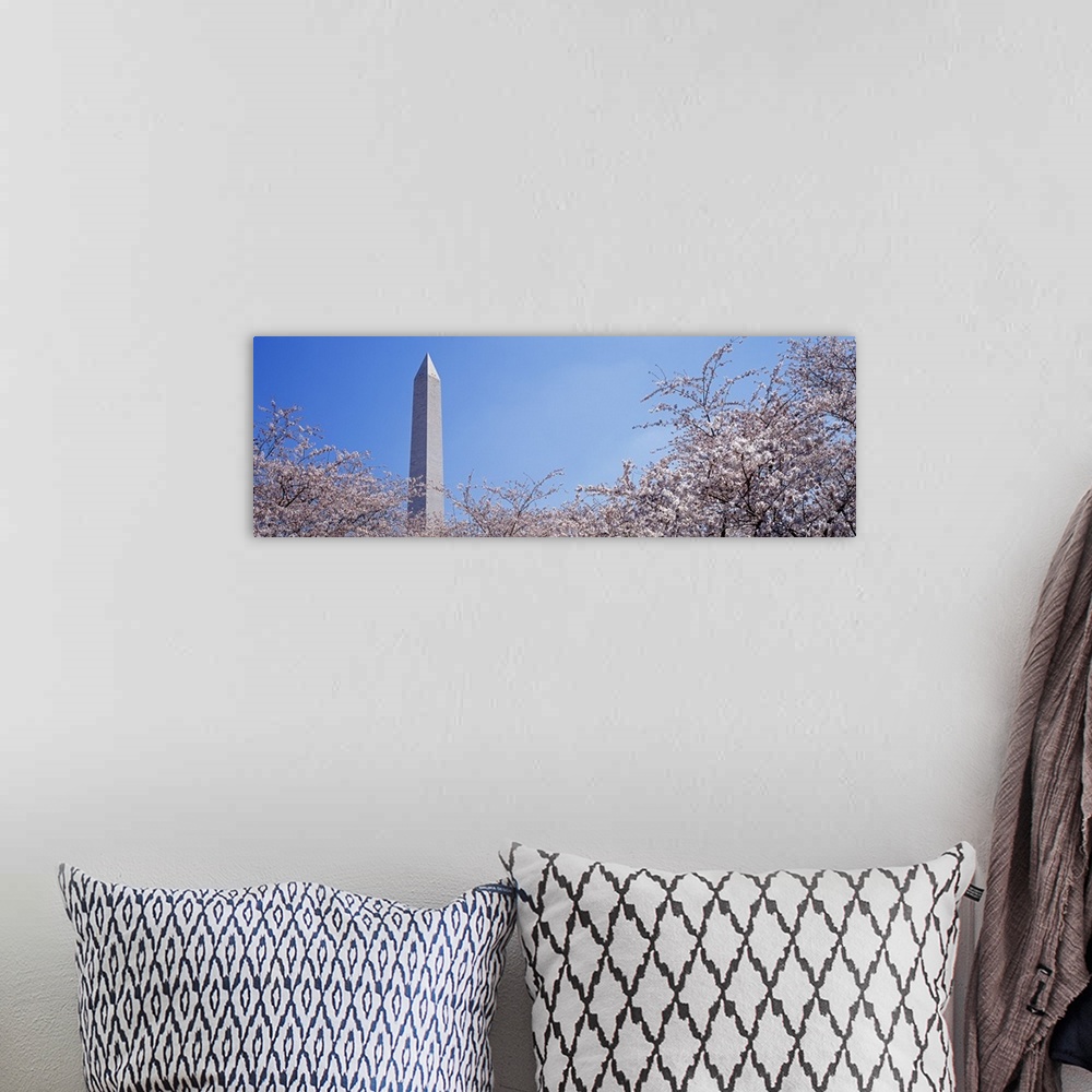 A bohemian room featuring Washington Monument behind cherry blossom trees, Washington DC