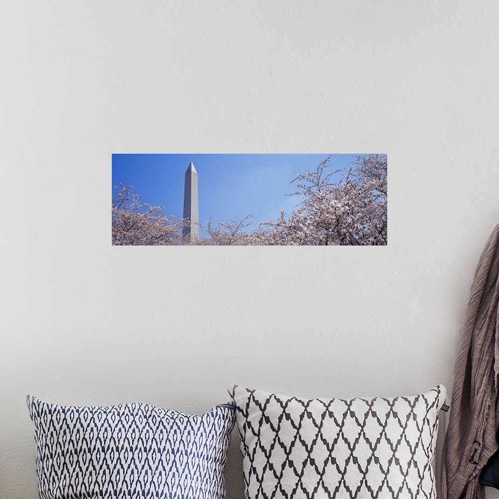 A bohemian room featuring Washington Monument behind cherry blossom trees, Washington DC