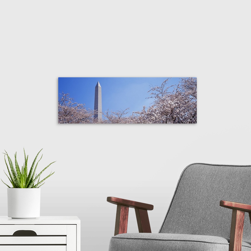 A modern room featuring Washington Monument behind cherry blossom trees, Washington DC