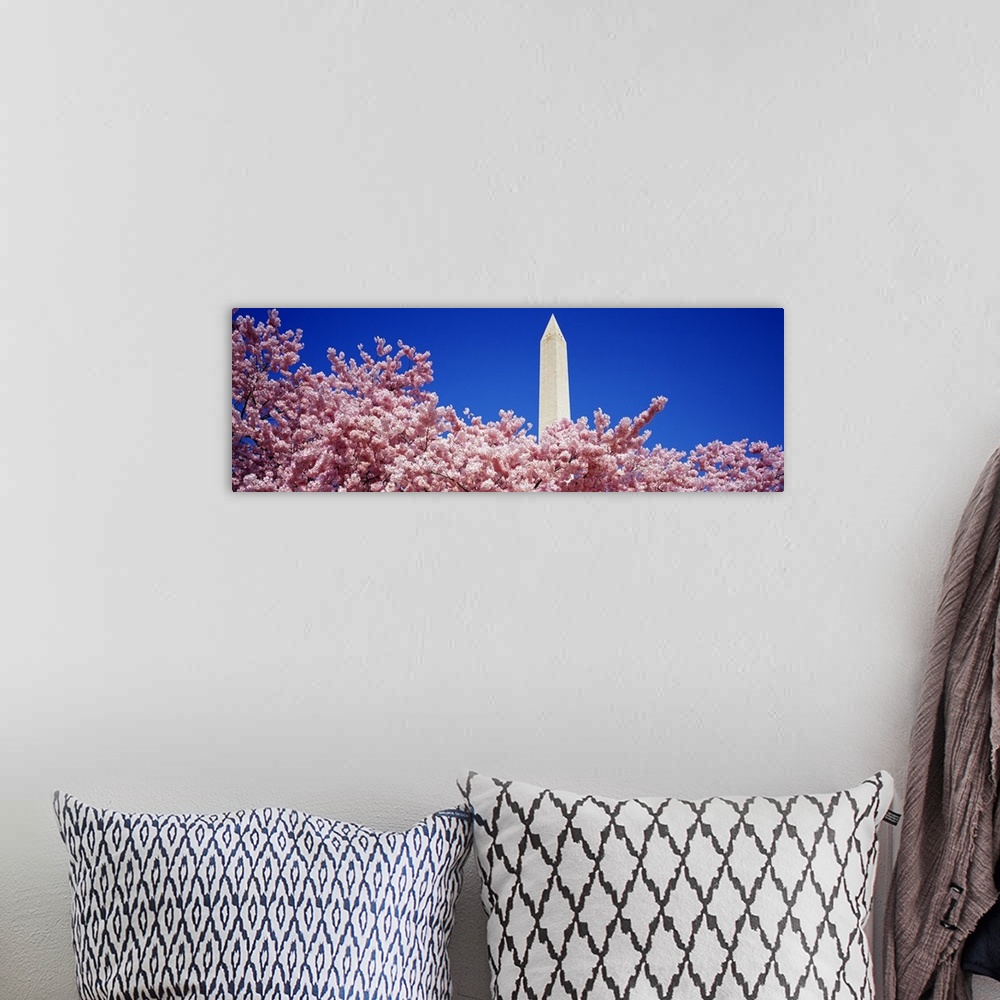 A bohemian room featuring Panoramic photograph of the Washington Monument peaking out over the top of a blooming cherry tre...