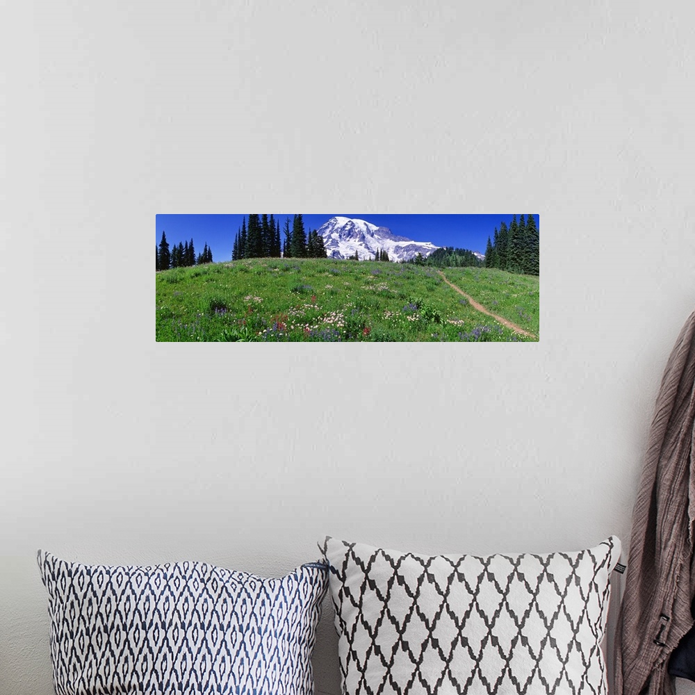 A bohemian room featuring Washington, Mount Rainier, meadow