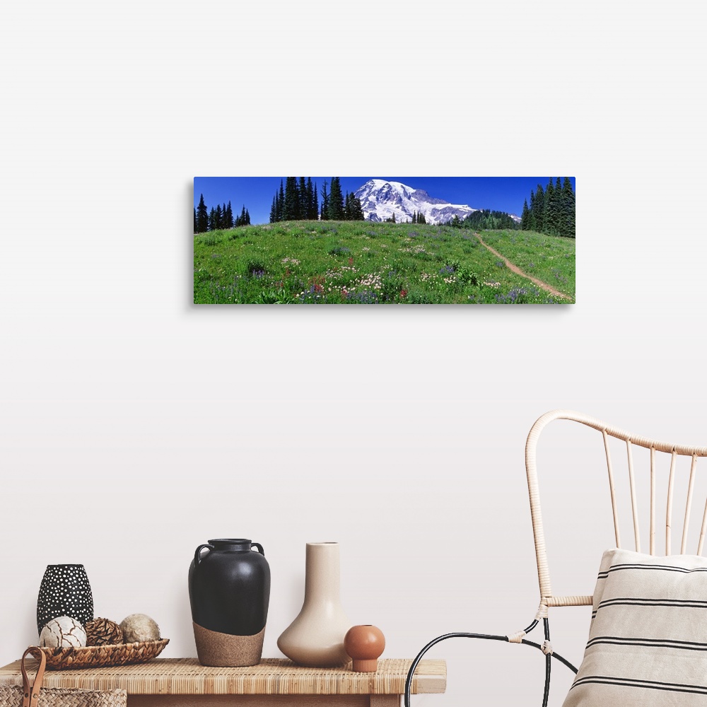 A farmhouse room featuring Washington, Mount Rainier, meadow