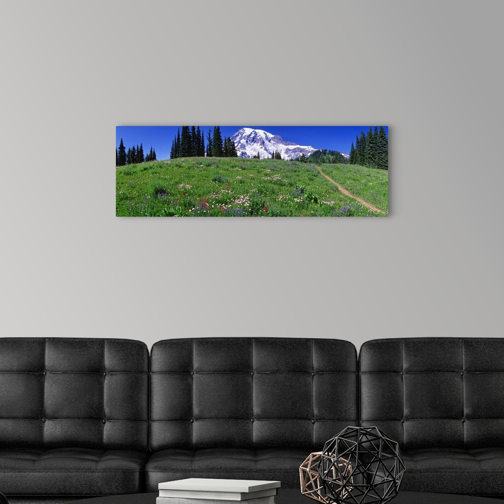 A modern room featuring Washington, Mount Rainier, meadow