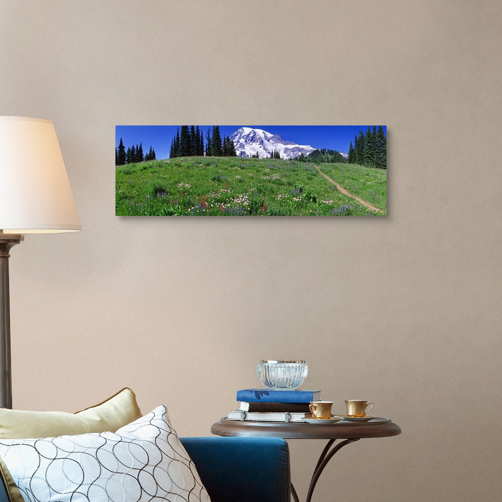 A traditional room featuring Washington, Mount Rainier, meadow