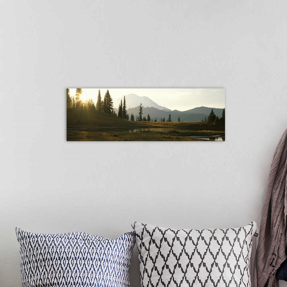 A bohemian room featuring Horizontal, large photograph of the sun setting over a tree covered hillside in Mount Rainier Nat...