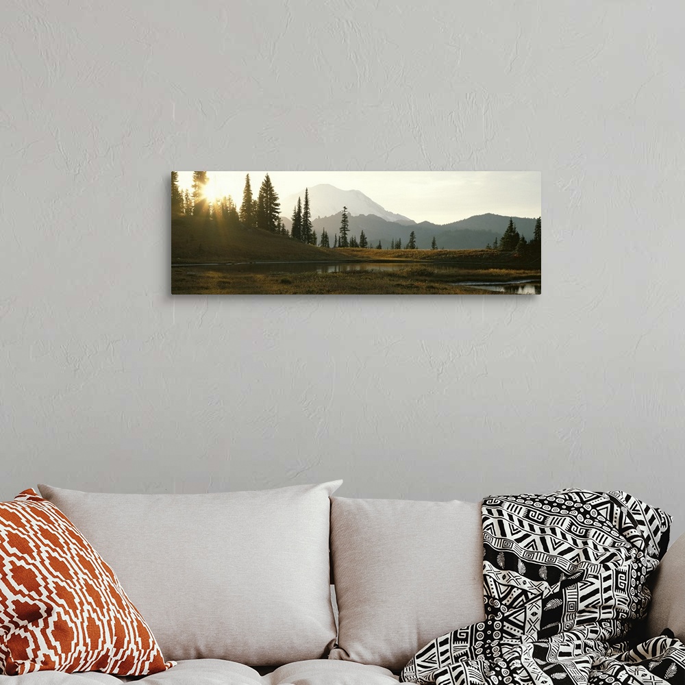 A bohemian room featuring Horizontal, large photograph of the sun setting over a tree covered hillside in Mount Rainier Nat...