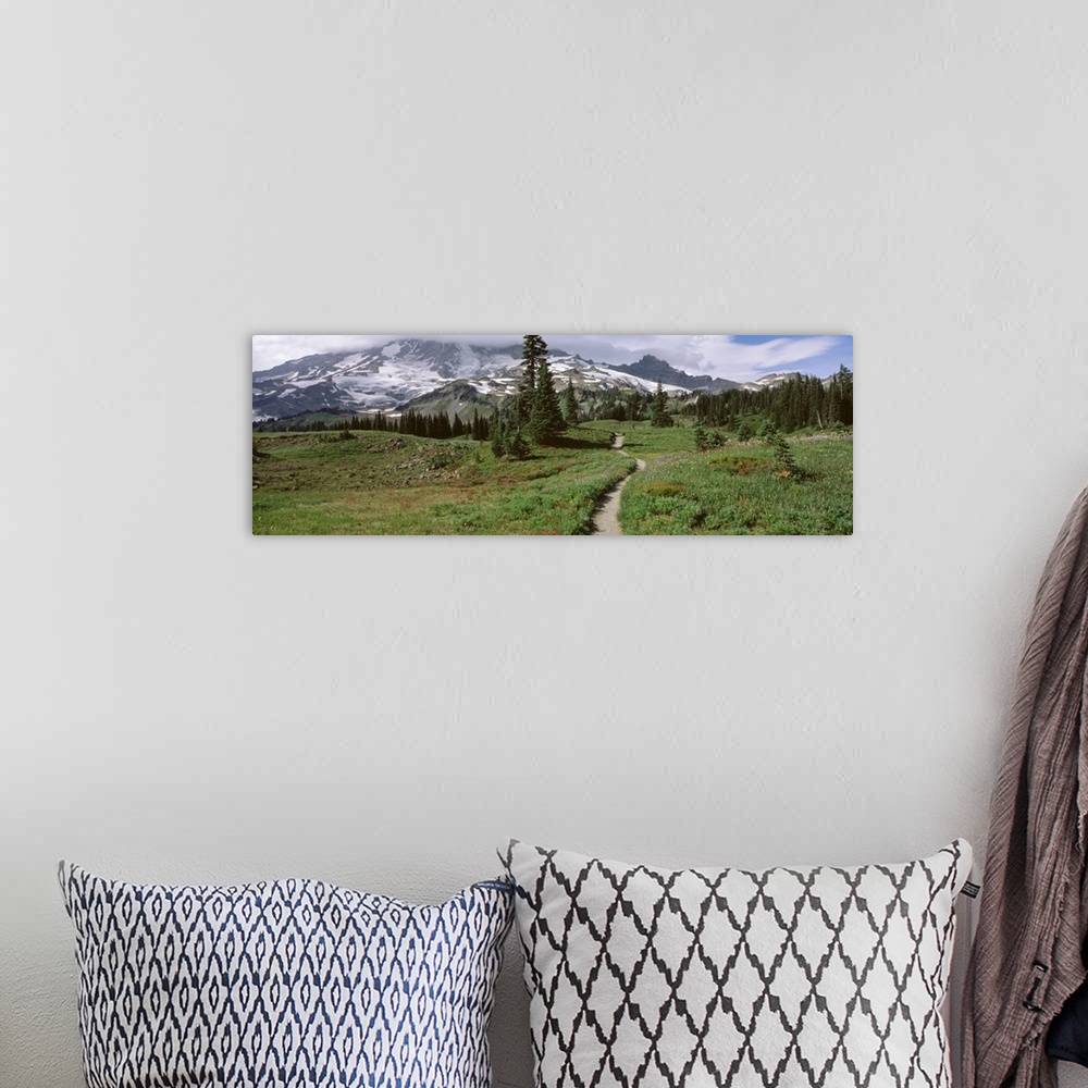 A bohemian room featuring Washington, Mt. Rainier, Mt. Rainier National Park, Mazama Ridge, path