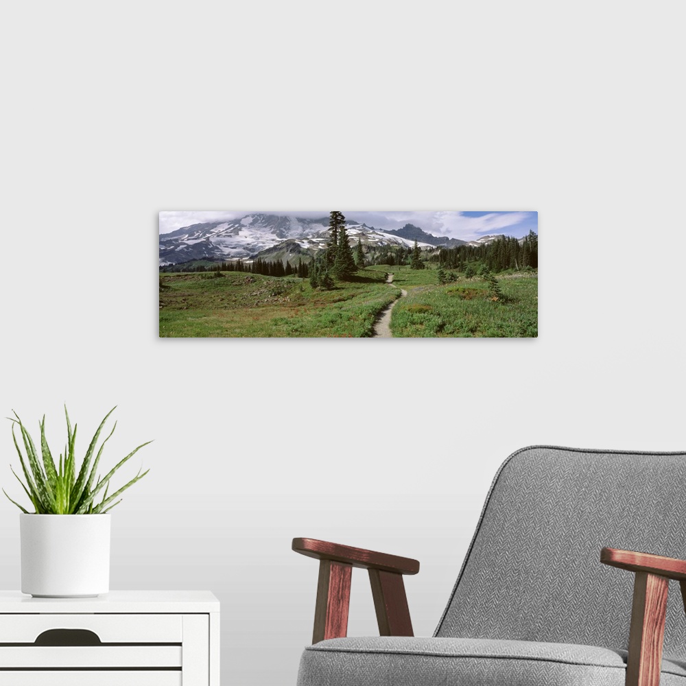 A modern room featuring Washington, Mt. Rainier, Mt. Rainier National Park, Mazama Ridge, path