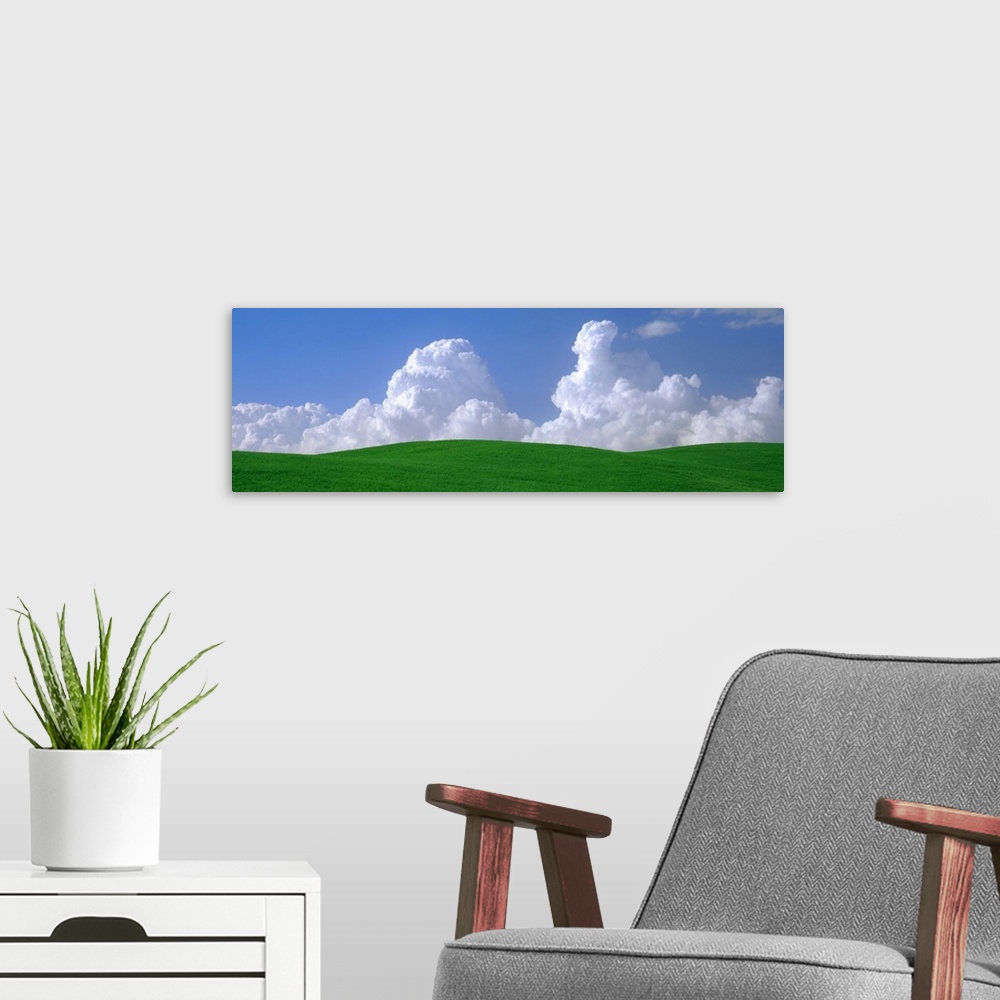 A modern room featuring Panoramic photograph of grass covered rolling hills under a cloudy sky.