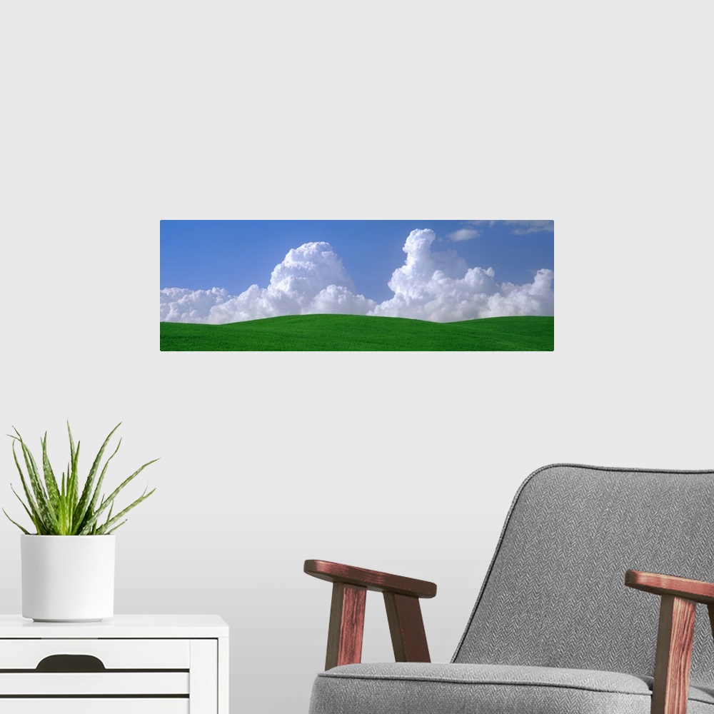 A modern room featuring Panoramic photograph of grass covered rolling hills under a cloudy sky.