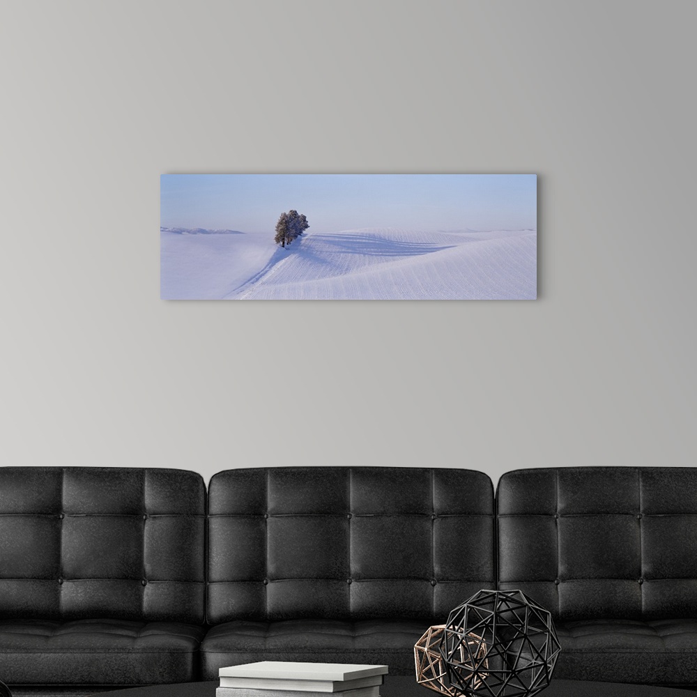 A modern room featuring Washington, Tree in a winter landscape