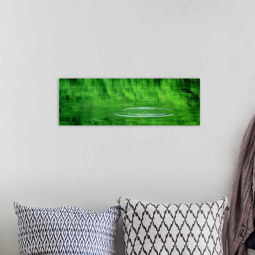 A bohemian room featuring Panoramic photograph on a large wall hanging of still water that reflects the green landscape abo...